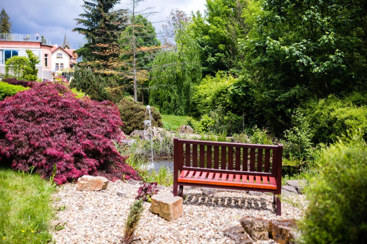 Luxury Spa & Wellness Vila Valaska Luhacovice Ngoại thất bức ảnh